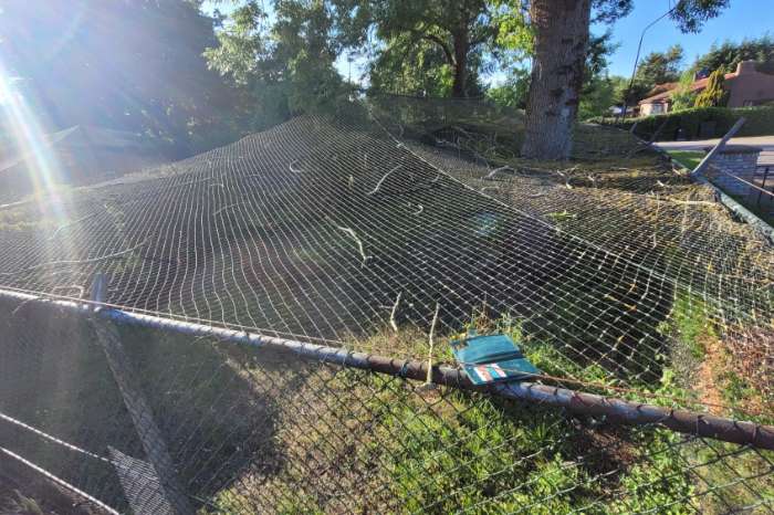 te koop: volierenet.