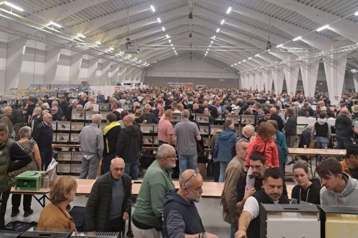 16 november grote internationale vogelbeurs putte ( belgie)