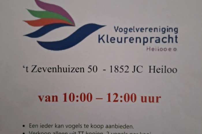 div vogels op beurs 9 - 11 in heiloo/nu thuis