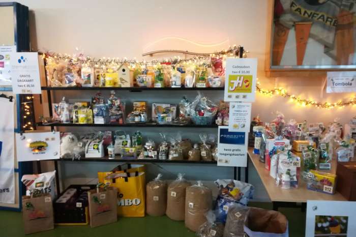 12, internationale vogelshow 't, sieske stein -meers.