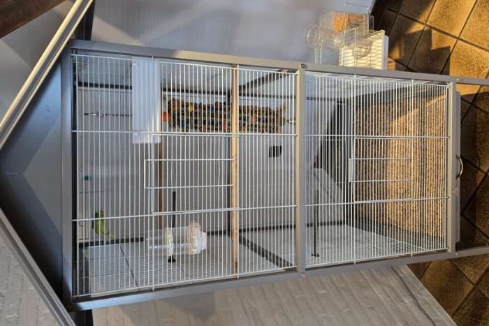 4 grasparkieten met kooi