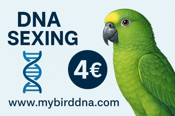 4€ dna geslachtsbepaling