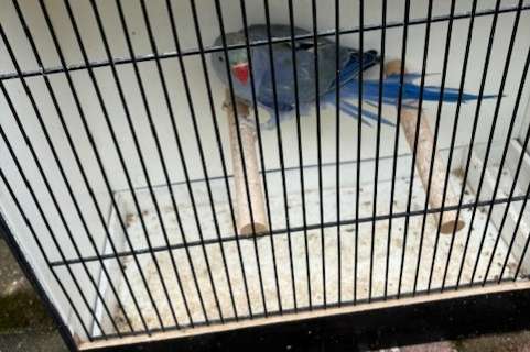 halsband mannen met dna