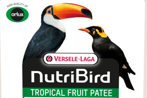 super promo zondag 16 november putte vogelverkoop