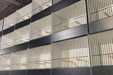 promo pvc tt kooien 10+1 gratis