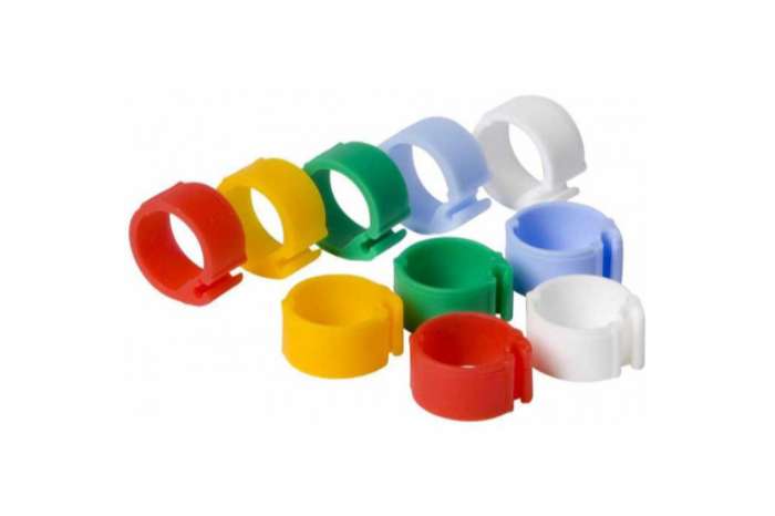 click-ringen voor pluimvee