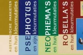 psephotus en zijn kleurmutaties