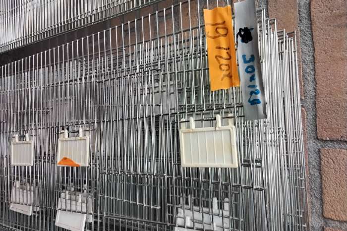 voorfrontjes veel zit stokken