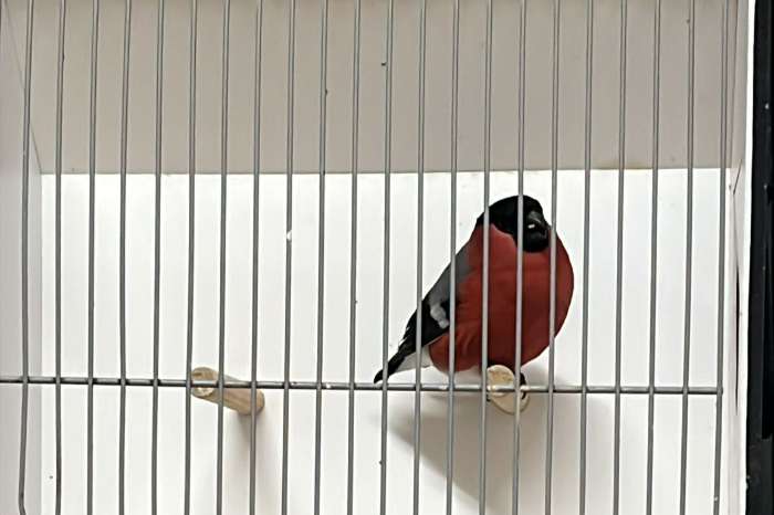 u kunt tot 16 november inschrijven