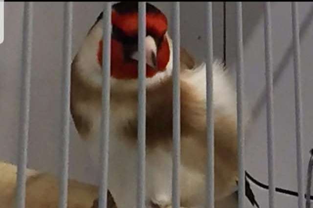 u kunt tot 16 november inschrijven