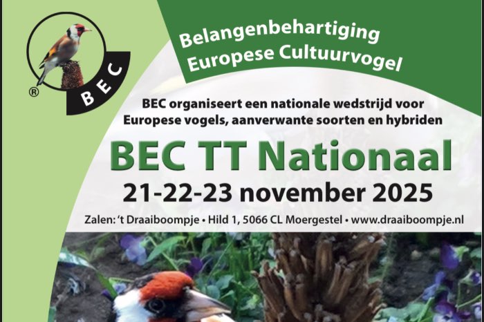 nationaal kampioenschap europese cultuurvogels 21 t/m 23 novembe