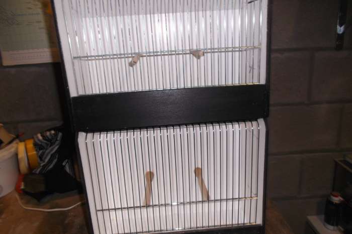 tt kooien voor europese, kanaries en exoten