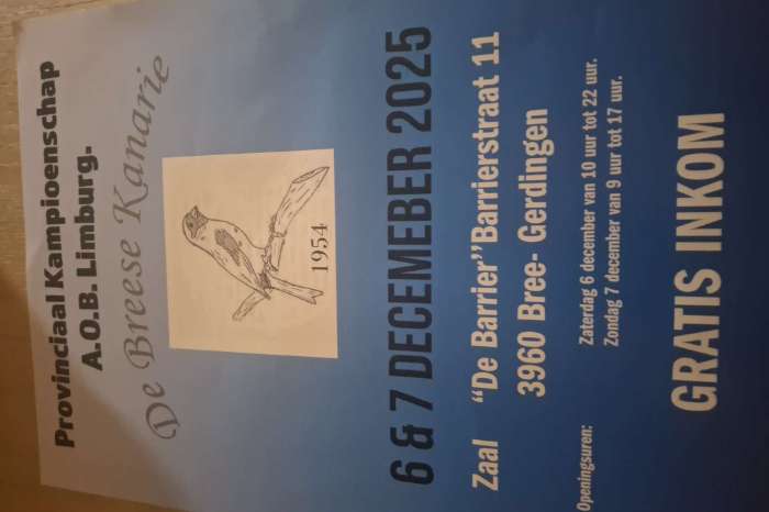 vogelbeurs de breese kanarie bree 23 november 2025