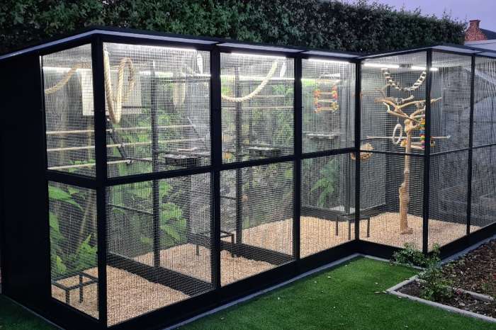 led installatie op maat voor uw vogelkooi(en)