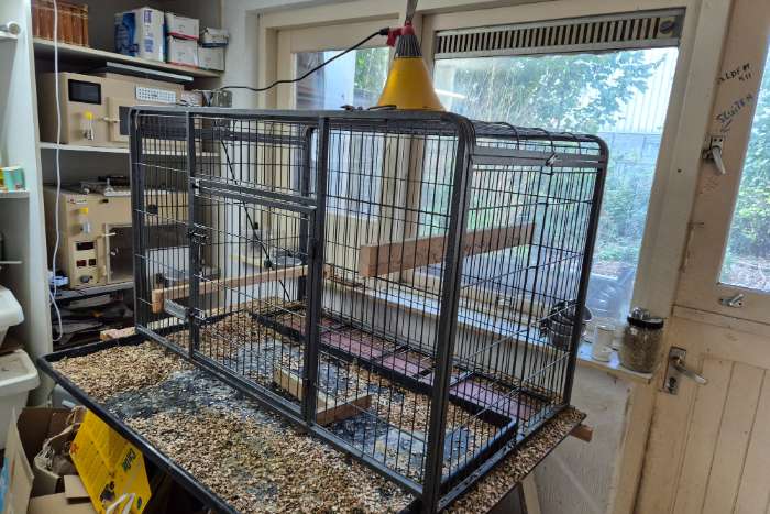 volieres, kooien en toe behoren