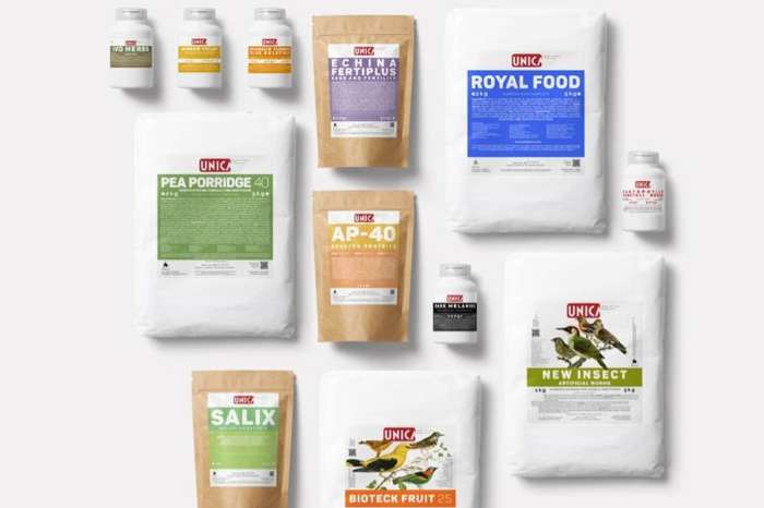 unica mangimi @ putte birdmarket sunday 16/11