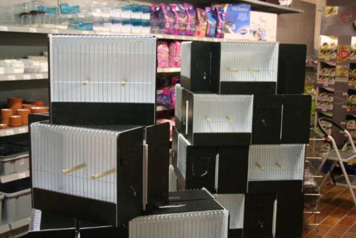 promo pvc tt kooien 10+1 gratis