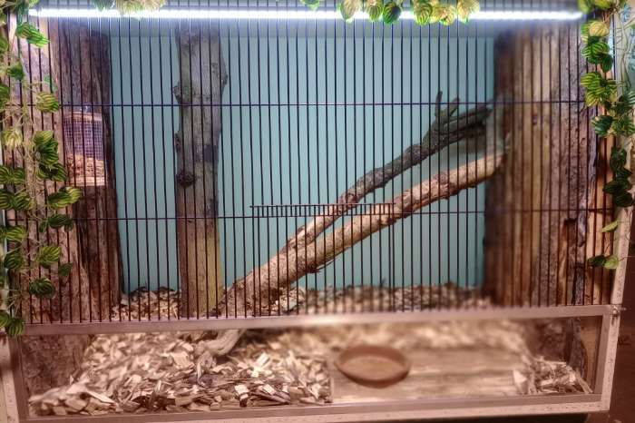 plug-in led verlichting, makkelijker kán niet!