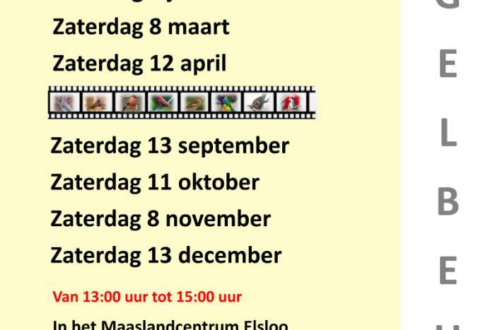 de goudvink mechelen a/d maas vogel beurs 17 jan 2026