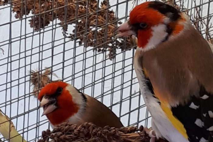 vandaag en morgen kunt u nog inschrijven