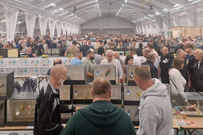 16 november grote internationale vogelbeurs putte ( belgie)