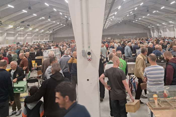 16 november grote internationale vogelbeurs putte ( belgie)