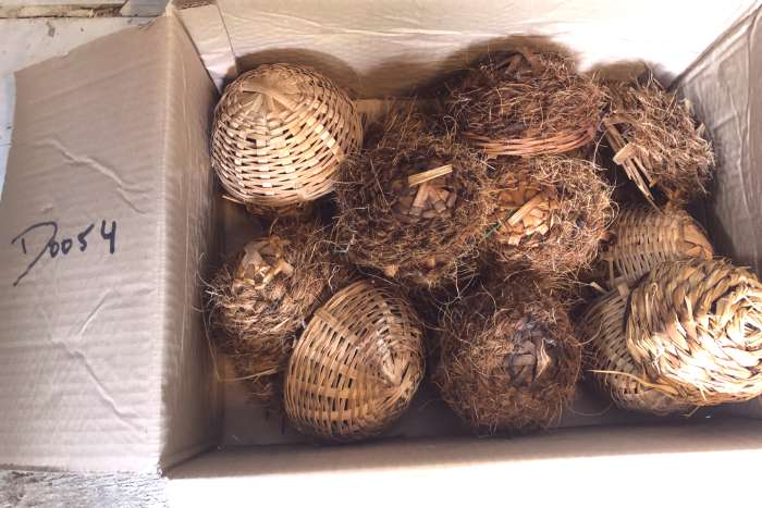 div vogel nestjes div verschillende doos 4