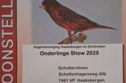 vogelshow haaksbergen en omstreken