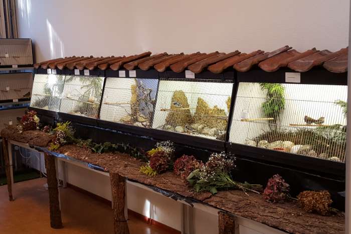 tentoonstelling soester vogelvrienden