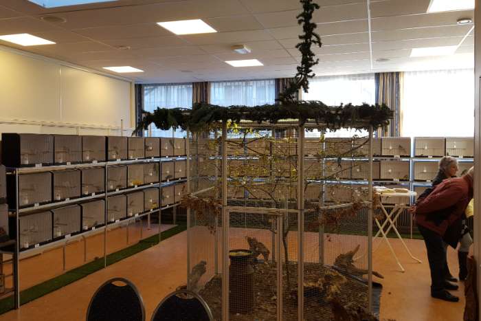 tentoonstelling soester vogelvrienden