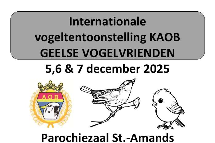 int. vogeltentoonstelling de geelse vogelvrienden