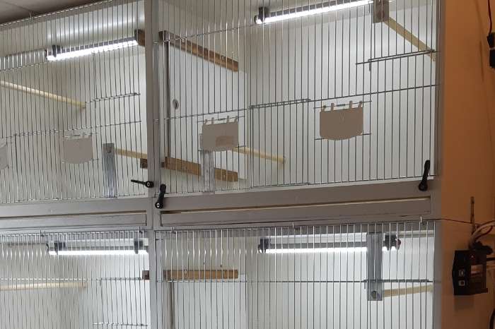 compleet assortiment led producten voor vogels