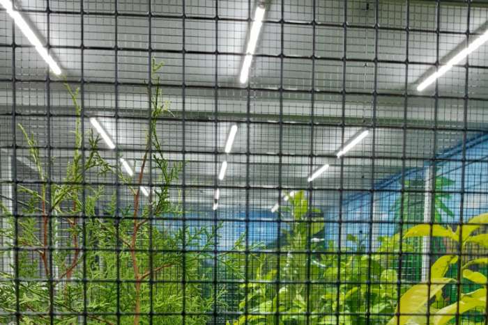 compleet assortiment led producten voor vogels