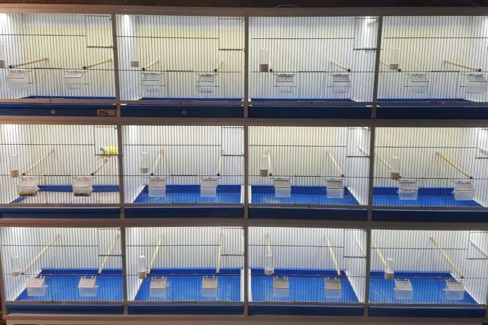 compleet assortiment led producten voor vogels