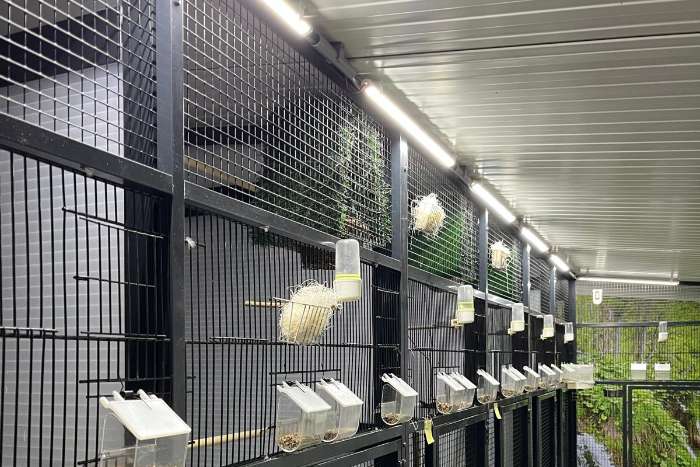 compleet assortiment led producten voor vogels