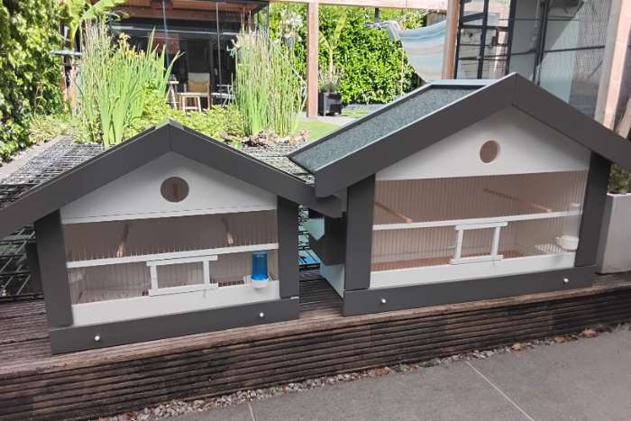 vogel kooien zang kooien