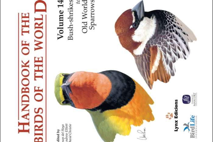 handbook of the birds of the world, vol. 14, bush-shrikes to old