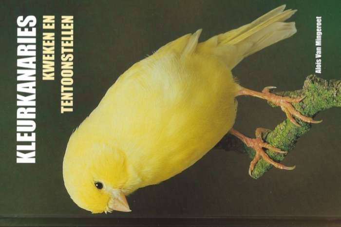 kleurkanaries kweken en tentoonstellen