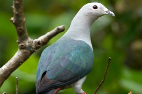 available for december