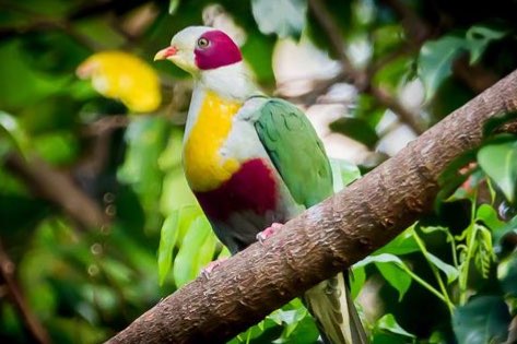 available for december