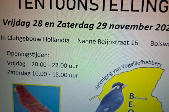 vogelshow bolsward