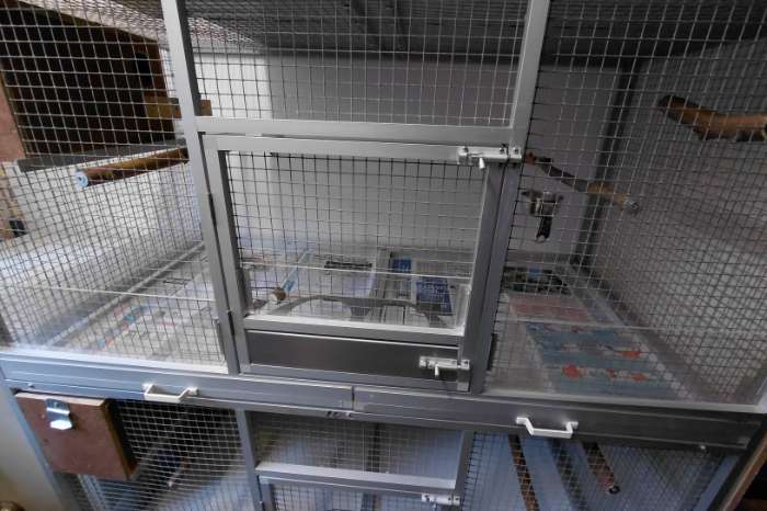 dubbele aluminium (kweek-uitvlieg)-kooien op wielen.