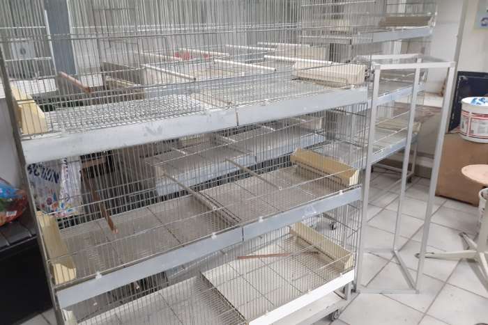 8 molinarie uitvlieg kooien 120x40x40 +3 wagens in prima staat