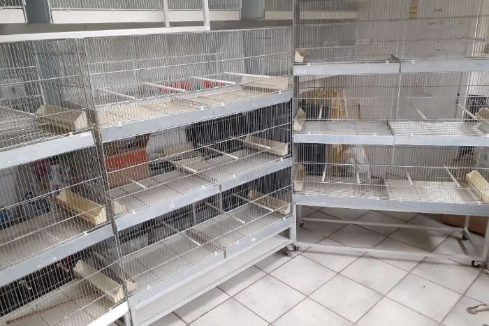 8 molinarie uitvlieg kooien 120x40x40 +3 wagens in prima staat