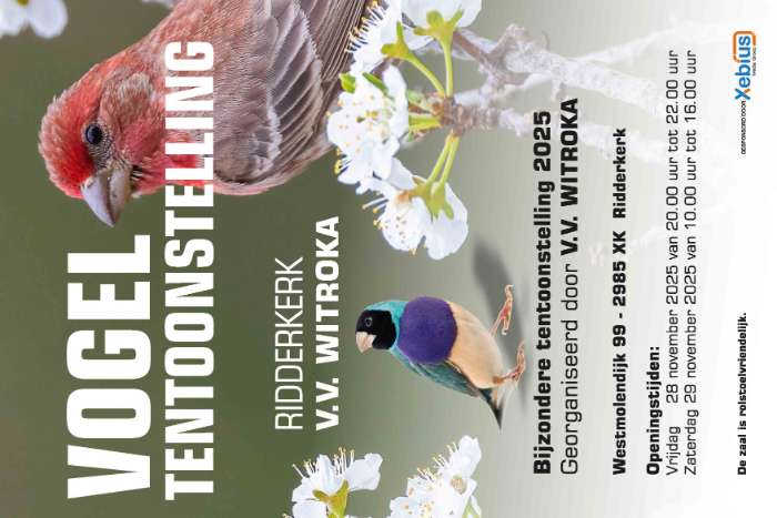 bijzondre tentoonstelling v.v.witroka ridderkerk