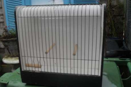 heel veel vogel spullen