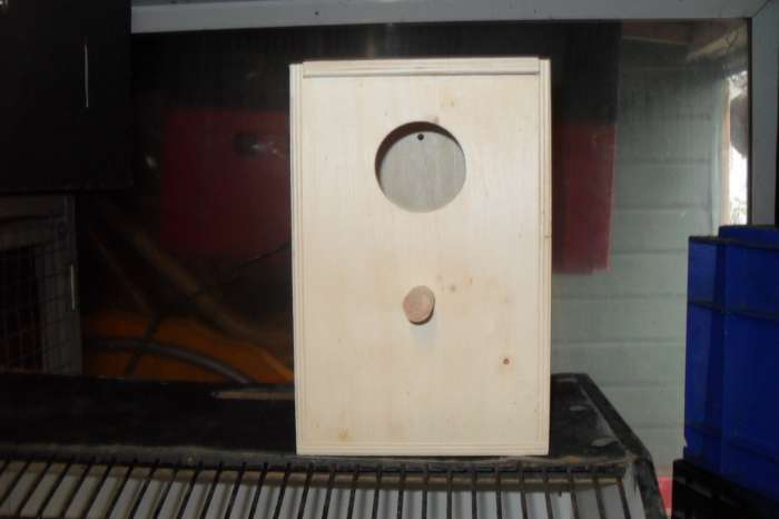 heel veel vogel spullen