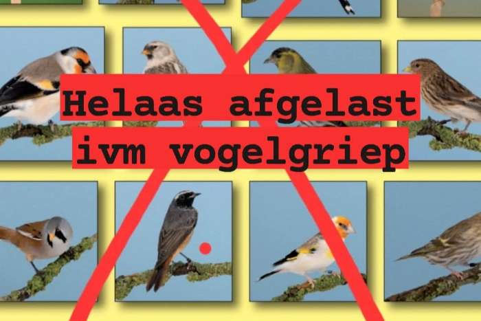 europese cultuurvogelshow afgelast