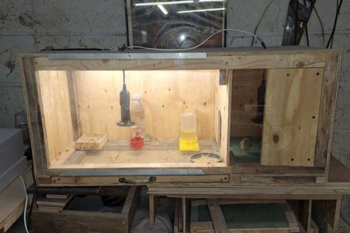 opfokkast / kunstmoeder