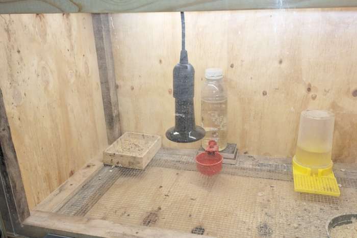 opfokkast / kunstmoeder